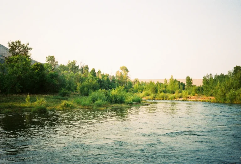 local-attraction-image-10